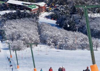 Continúan cuestionamientos por proyecto inmobiliario en Parque Nacional Puyehue