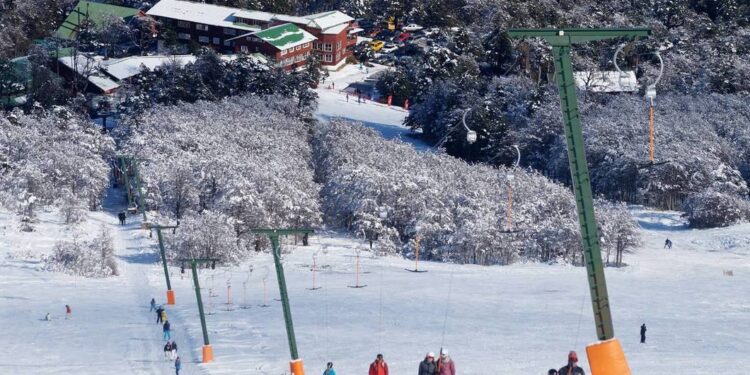 Continúan cuestionamientos por proyecto inmobiliario en Parque Nacional Puyehue