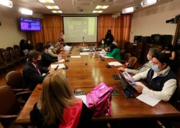 Comisión de Constitución de la Cámara acordó fusionar proyectos de retiro de fondos de pensiones