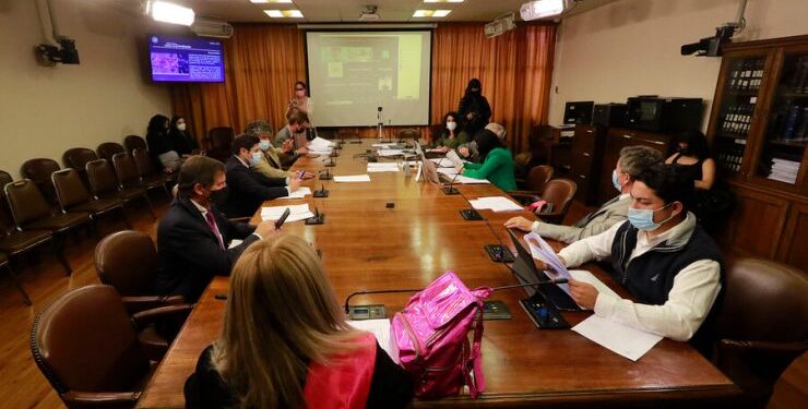 Comisión de Constitución de la Cámara acordó fusionar proyectos de retiro de fondos de pensiones