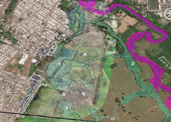 Red Ambiental Ciudadana Osorno rechazó cierre de proceso declaratorio de humedales en Ovejería 