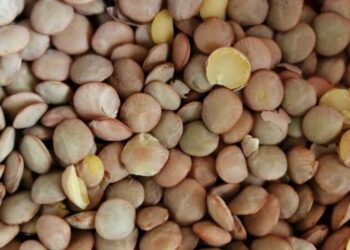 Legumbres podrían aumentar en un 30% para el mes de mayo