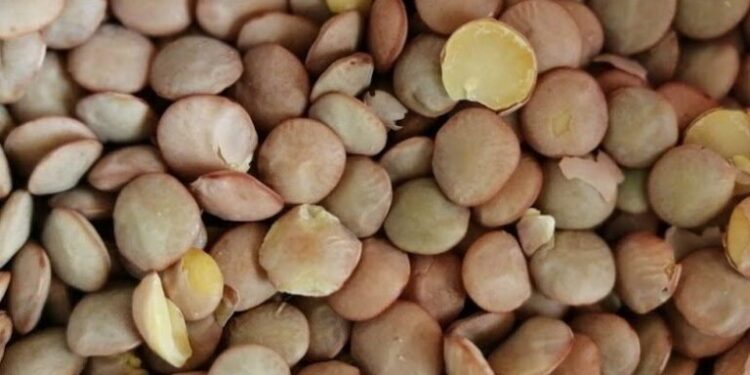 Legumbres podrían aumentar en un 30% para el mes de mayo