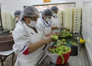 Concejal de Osorno denuncia pago de finiquitos con cheques sin fondos a manipuladoras de alimentos 