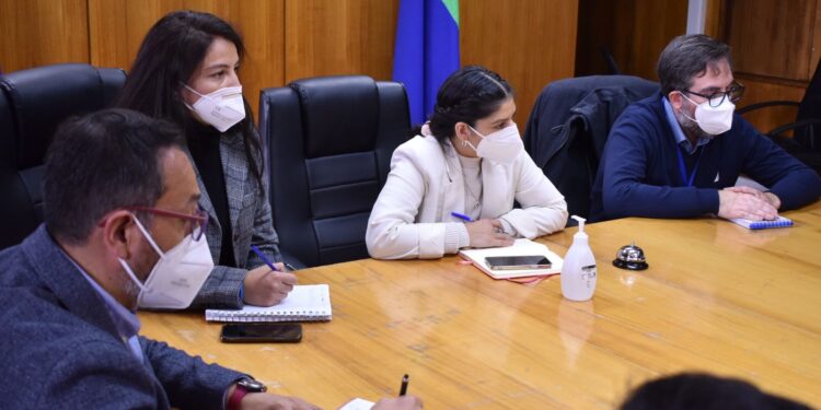 Delegada Presidencial Regional encabezó mesa intersectorial para fiscalizar productos del mar