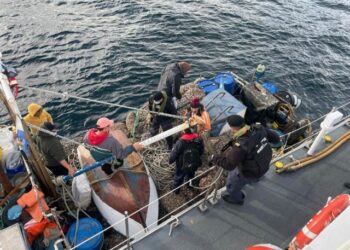 Semana Santa: Han incautado cerca de 60 toneladas de recurso del mar entre Los Lagos y Aysén