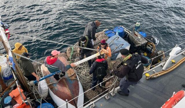 Semana Santa: Han incautado cerca de 60 toneladas de recurso del mar entre Los Lagos y Aysén
