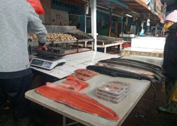Osorno: Pescaderías esperan repuntar ventas ante temor por marea roja