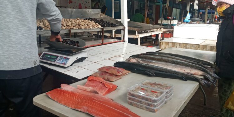 Osorno: Pescaderías esperan repuntar ventas ante temor por marea roja