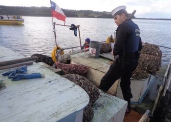 Dos detenidos deja caso de marea roja en que murió niño en Calbuco