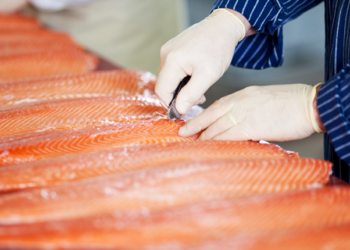 Truchas y salmones marcaron exportaciones en región de Los Lagos
