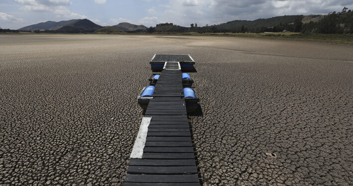 Reducir el transporte aéreo y consumo de carne: Las propuestas de la ONU para enfrentar el cambio climático