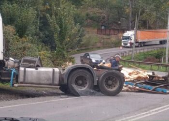 Osorno: Madera de camión cayó en ruta Pilauco dejando interrumpido el tránsito
