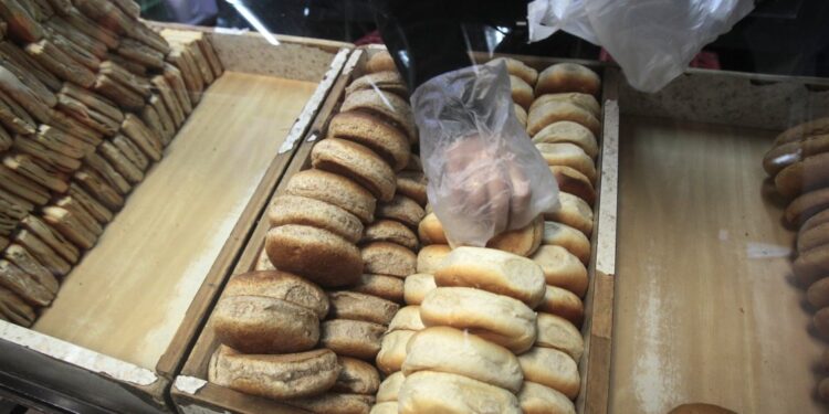 «Siembra por Chile»: Agricultura anunció programa para mitigar alza de precios en los alimentos