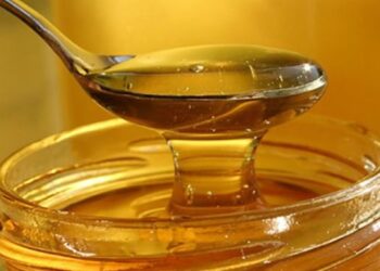 Más de 4 mil 500 frascos de miel de abeja se exportaron desde Chiloé a Estados Unidos