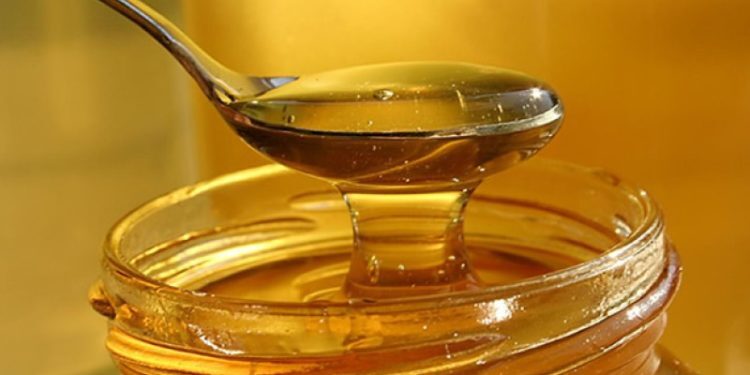 Más de 4 mil 500 frascos de miel de abeja se exportaron desde Chiloé a Estados Unidos