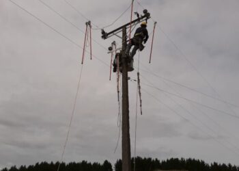 Realizarán mejoramiento de redes eléctricas en sector rural de Río Bueno