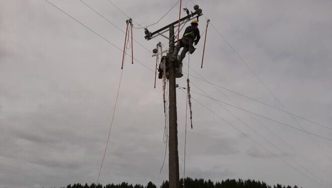 Realizarán mejoramiento de redes eléctricas en sector rural de Río Bueno