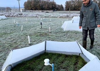 Entregan recomendaciones a productores ganaderos de Osorno por bajas temperaturas 