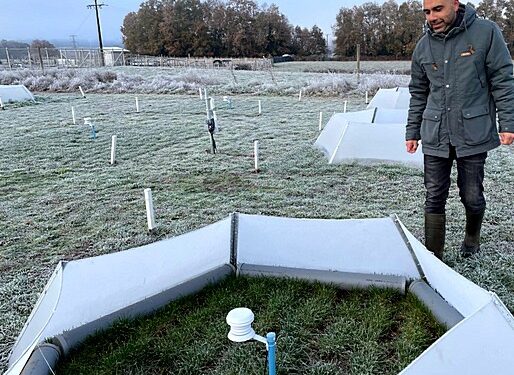 Entregan recomendaciones a productores ganaderos de Osorno por bajas temperaturas 