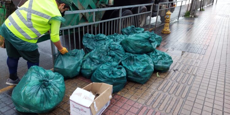 Trabajadores de Servitrans Osorno piden revisar basura tras accidentes con insumos peligrosos