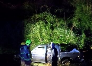 Camioneta cayó a cauce de estero en Río Bueno: conductor está grave