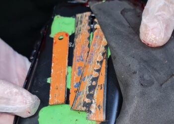 Lanzan paloma muerta que contenía celular y sierras a cárcel de Osorno