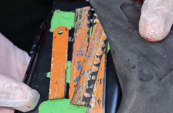 Lanzan paloma muerta que contenía celular y sierras a cárcel de Osorno