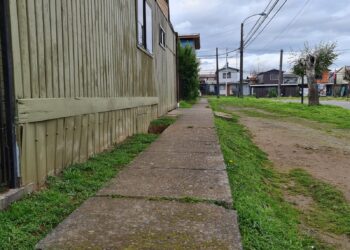 Construirán nuevas veredas en población García Hurtado y villa Nueva primavera de Osorno