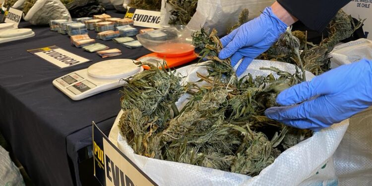 Decretan prisión preventiva para involucrados en tráfico de drogas en San Juan de la Costa