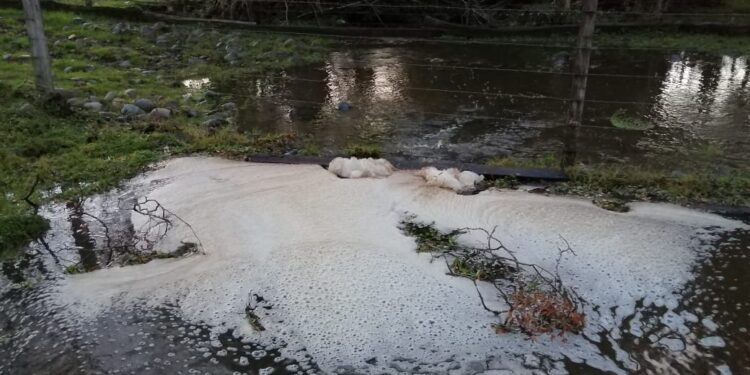Agrupación medioambientalista acusa contaminación de estero Los Castaños en Puyehue