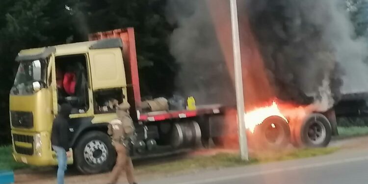 Camión se incendió en ruta que une a Río Bueno con Osorno