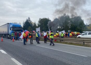 Contratistas y trabajadores forestales retomaron esta mañana movilizaciones en Los Ríos: piden mayor seguridad