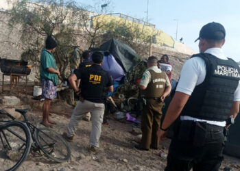 PDI de Arica detuvo a cuatro personas por faenar y asar un lobo marino