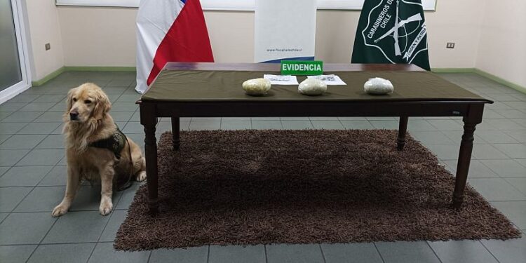 San Pablo: Detienen a menor de edad con cerca de 3 kilos de pasta base de cocaína