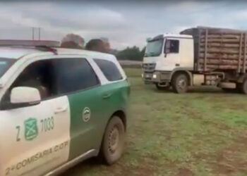 Operativo en Collipulli deja cuatro detenidos por hurto de madera