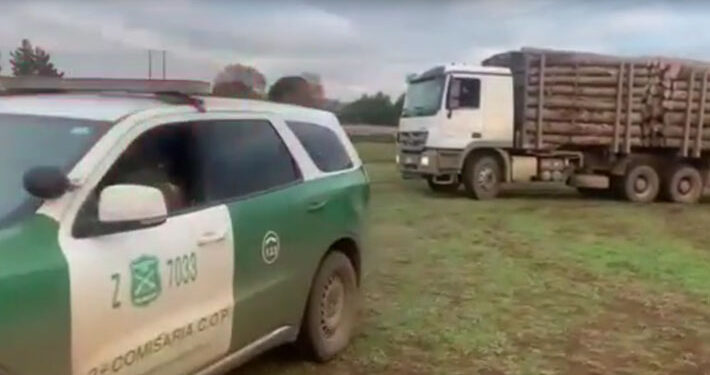Operativo en Collipulli deja cuatro detenidos por hurto de madera