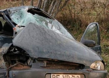 Conductor falleció tras chocar contra árbol en sector Pelleco de Osorno
