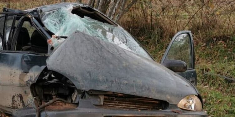 Conductor falleció tras chocar contra árbol en sector Pelleco de Osorno
