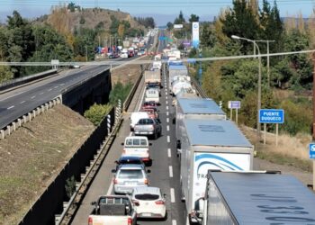 Gobierno retiró acuerdo con contratistas forestales por incumplimiento del desbloqueo