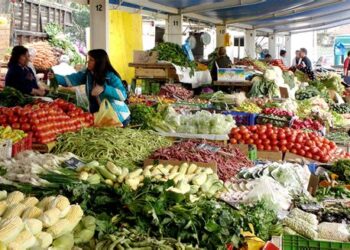 Advierten peligro para seguridad alimentaria si se extiende violencia terrorista a la región
