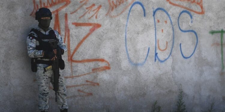 Interior advierte presencia en Chile de tres de las bandas más peligrosas del mundo