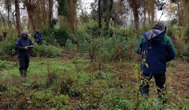 Conaf detectó infracciones en proyectos de parcelación en Osorno y Puerto Octay