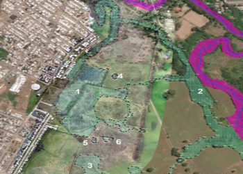 Osorno: Ingresan expediente para declarar humedal urbano superficie de sector de Ovejería