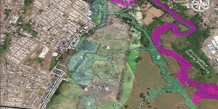 Osorno: Ingresan expediente para declarar humedal urbano superficie de sector de Ovejería