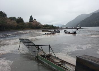 Alud provocó fuerte oleaje y daños a embarcaciones en lago Todos los Santos