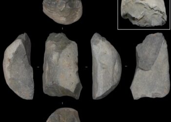 Revista reconoce mundialmente artefacto de piedra encontrado en sitio Pilauco de Osorno