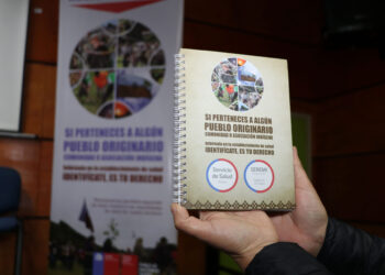Comisión de salud provincial de Osorno refuerza registro de pertenencia a pueblos originarios 