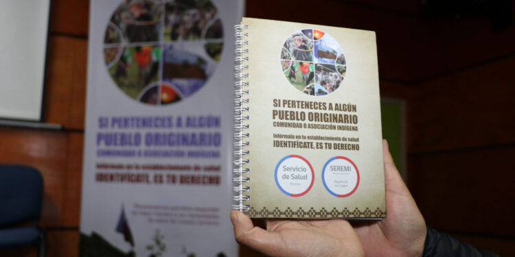 Comisión de salud provincial de Osorno refuerza registro de pertenencia a pueblos originarios 
