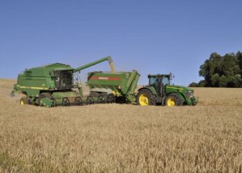 Especialistas advierten que producción de cultivos disminuirá un 20% durante la temporada